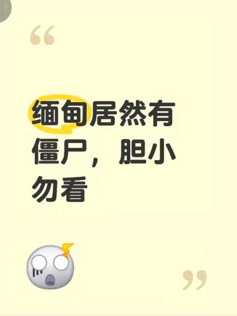《缅甸僵尸出土事件》高清视频完整版在线免费播放 - 揭秘缅北僵尸出土事件真相 - 现场全程录像无删减