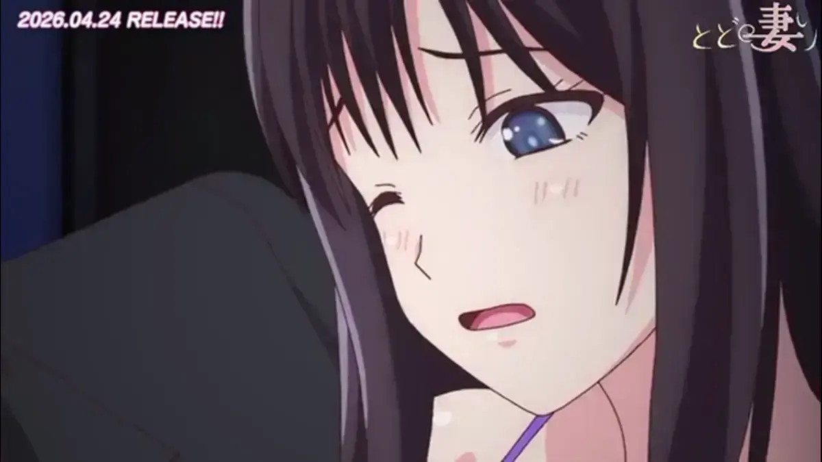 樱花动漫《还得是人妻》动画高清播放