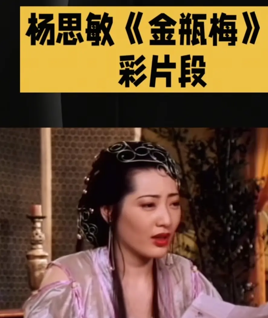 《新金瓶梅》高清完整版在线观看-全集无广告免费播放-VS影院HD中字版