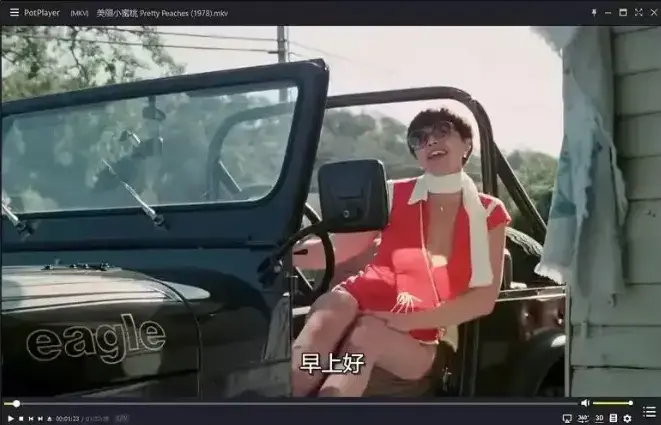 《美丽小蜜桃》未删减版HD在线观看-美国复古喜剧电影免费播放-《美丽小蜜桃》1080P高清中字完整版