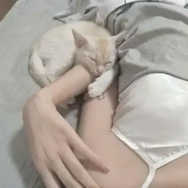 《森泽佳奈》高清全集未删减中文版免费在线看无广告网盘观看【森泽佳奈》年度现象级作品全集珍藏版】《森泽佳奈》1080P蓝光无水印【森泽佳奈》百度网盘夸克迅雷高速下载】《森泽佳奈》中文配音无广告版【...